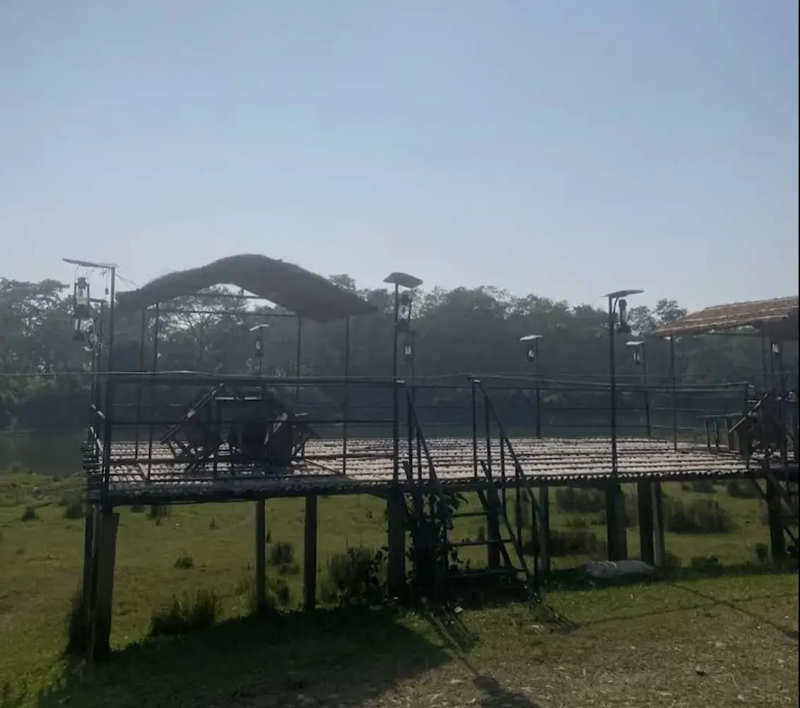 RKD (Raj Kumar Dai) — Eat & Drink near Chitwan National Park, Sauraha (3 of 3)
