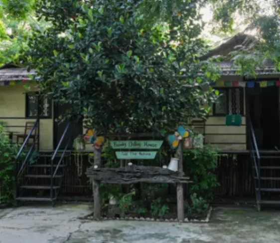 Bamby Chilling House - Feel The Nature — Eat & Drink near Chitwan National Park, Sauraha (2 of 3)