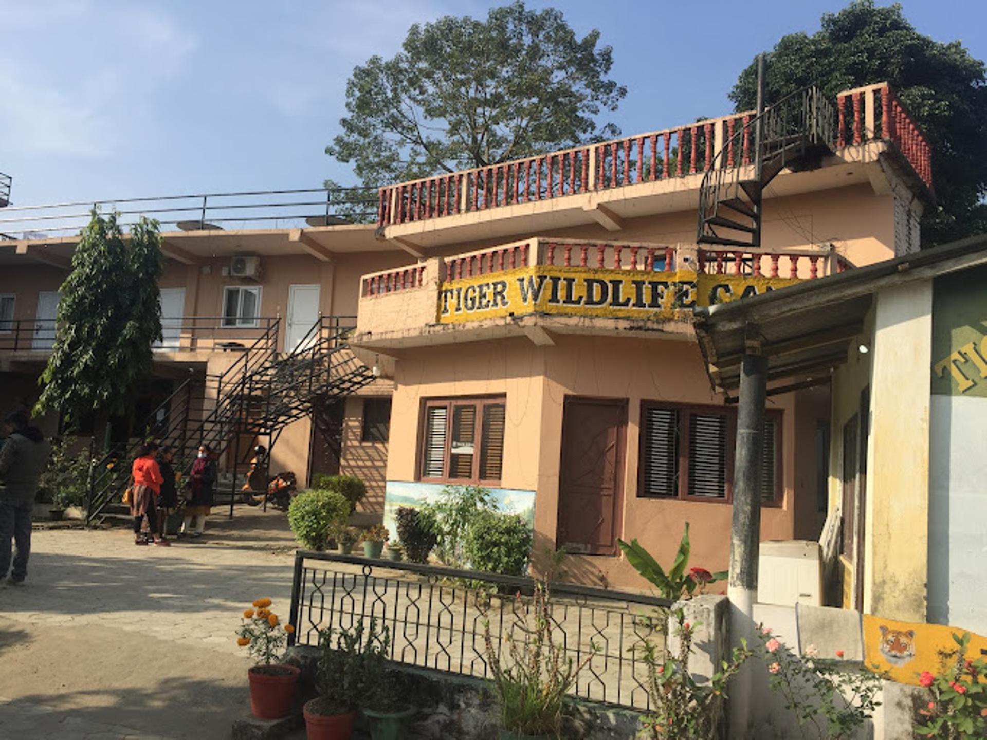 Tiger Wildlife Camp