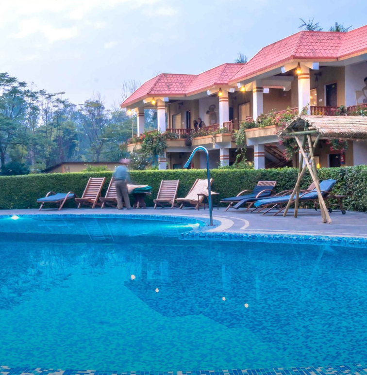 Hotel Jungle Crown