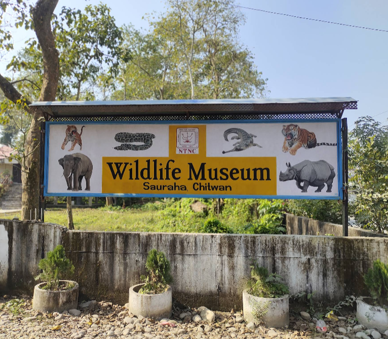 Sauraha Wildlife Museum (NTNC)